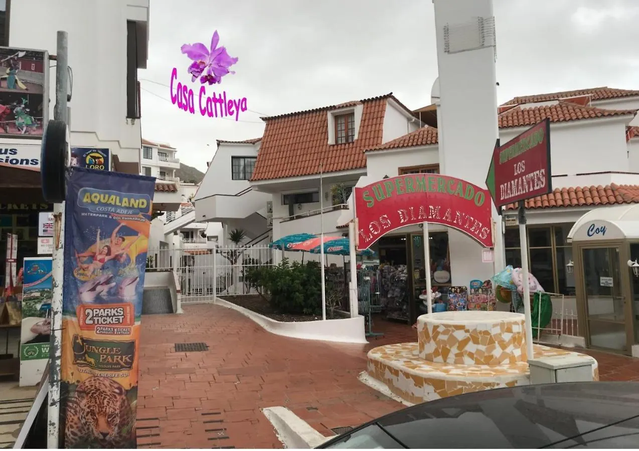דירות לוס כריסטיאנוס Casa Cattleya 0*,  ספרד