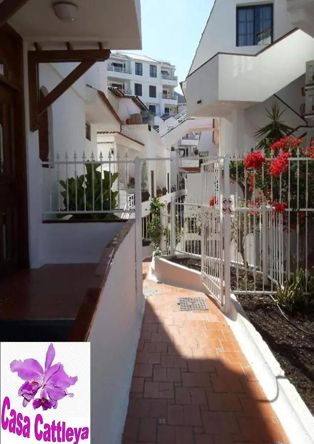 Casa Cattleya Apartment Los Cristianos  Los Cristianos (Tenerife)