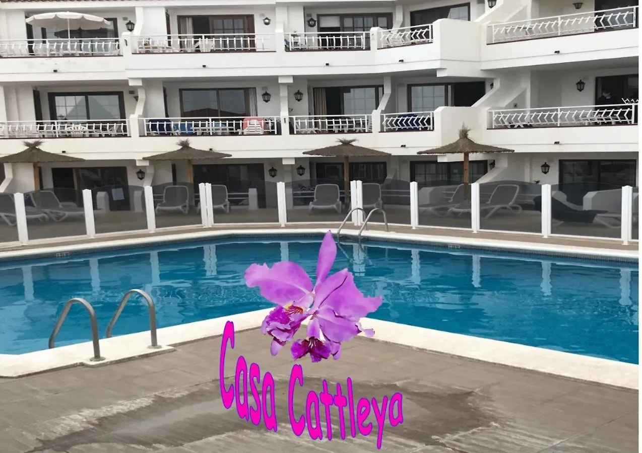 Appartement Casa Cattleya à Los Cristianos   Los Cristianos (Tenerife)