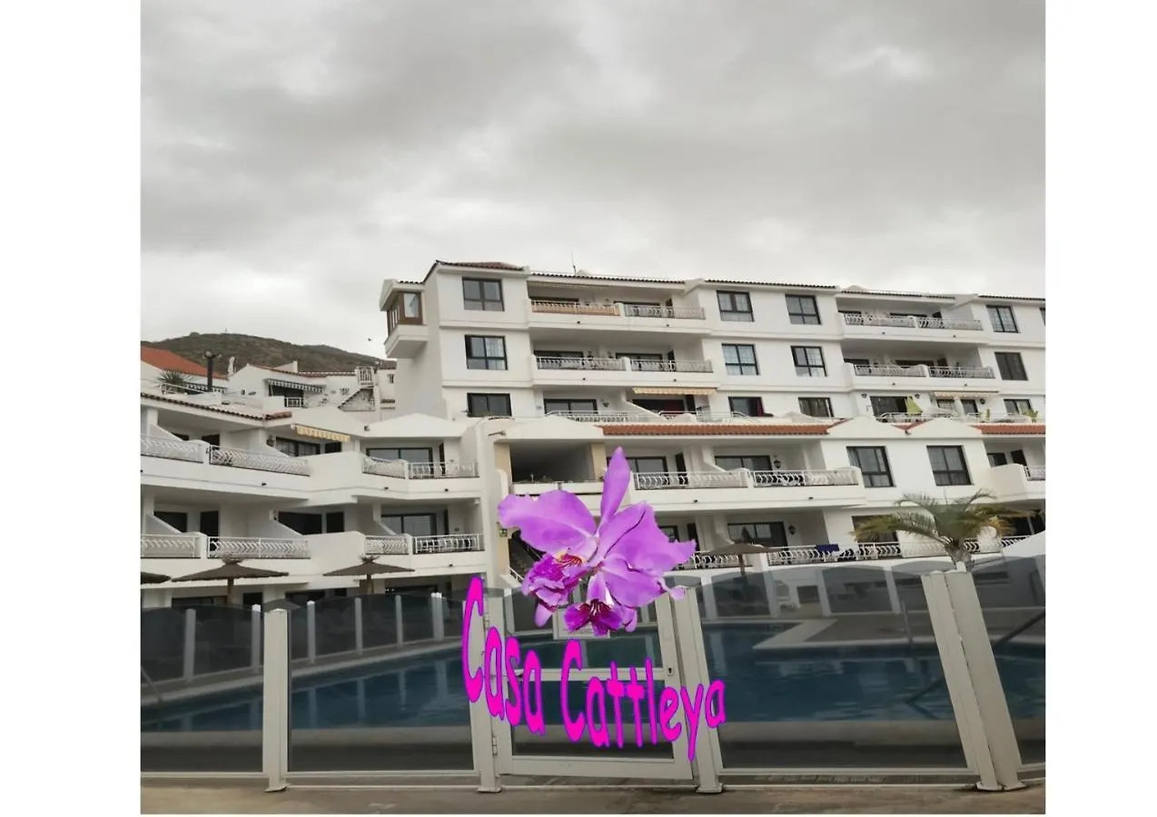 Appartement Casa Cattleya à Los Cristianos  Espagne